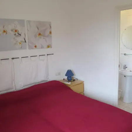 فيلة Ref Zar22 *